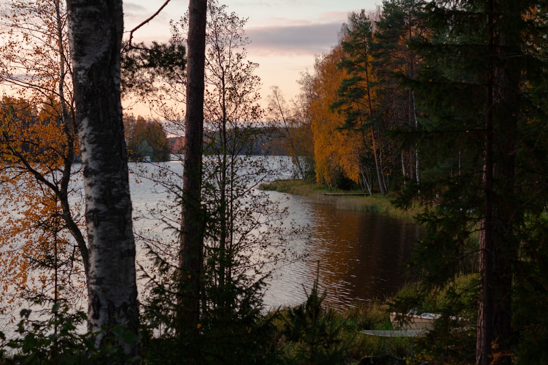 Photo Lakeshore, Forest